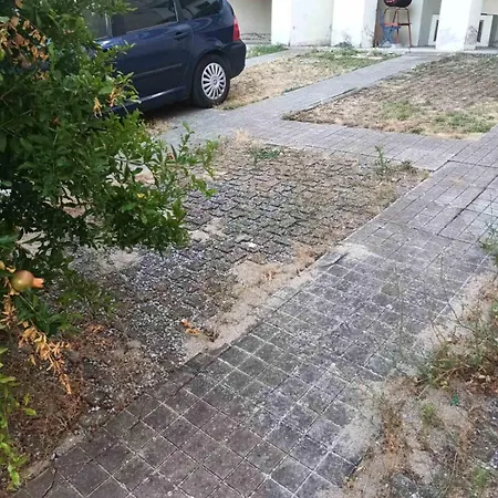 Work Of Art In Apartament *